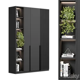 Cabinet with shelves